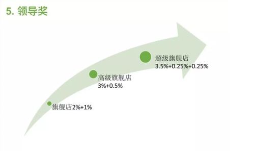麗姿共享面膜系統開發 重慶軟件產業的創新實踐與價值分析